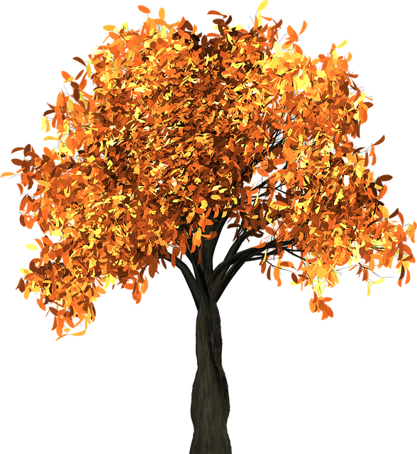 frank-flora-640x480-83114973.png