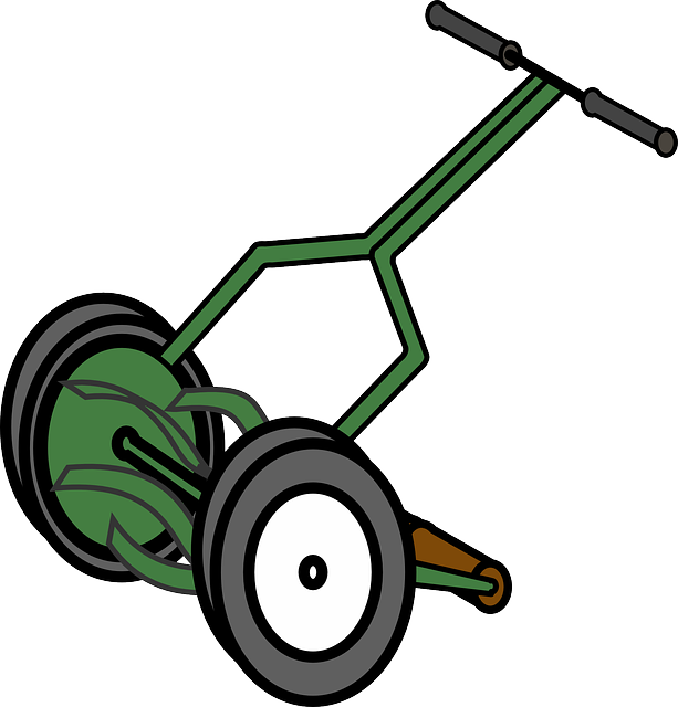 lawn-care-640x480-54467677.png