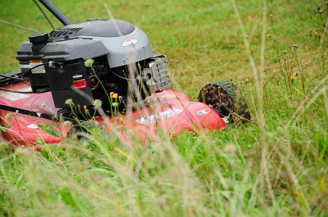 Lawn Care
