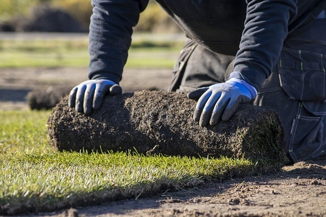 lawn-care-640x480-84969743.jpeg