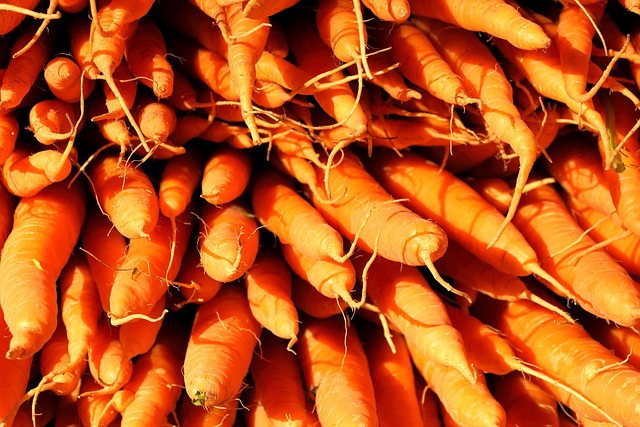 Optimizing Senior Care: Local Food Delivery and Meal Preparation Programs