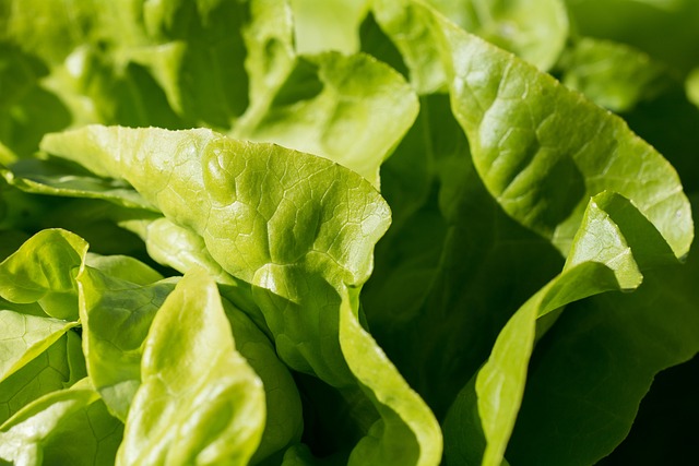 local-food-640x480-35787348.jpeg
