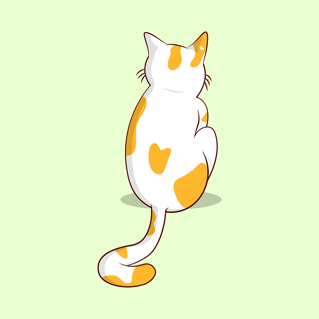 pet-sitting-640x480-86991297.png