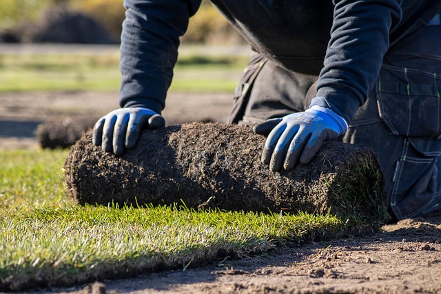 Lawn Care