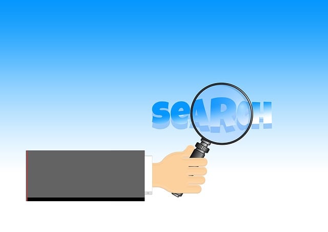 Search Engine Optimization Tampa services that drive real results