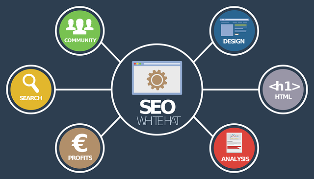 boost-your-rankings-with-expert-tampa-se-640x480-73038461.png