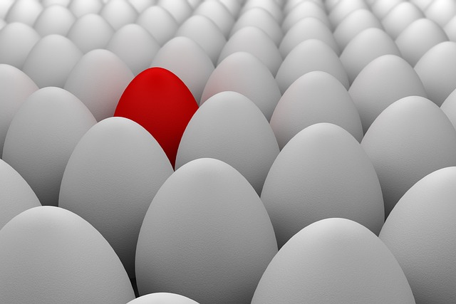 Get found online with Port Fort Lauderdale SEO experts