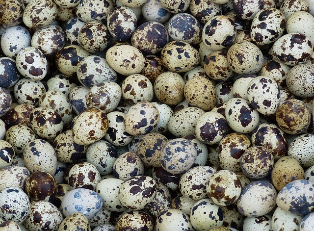 local-food-640x480-78962364.jpeg