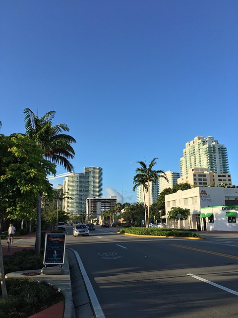 miami-seo-experts-focused-on-increasing-640x480-11560586.jpeg