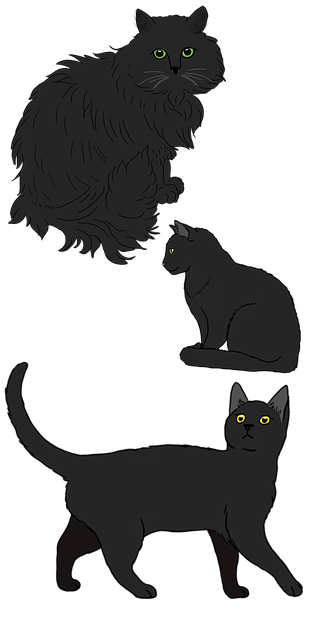 pet-sitting-640x480-29100634.png
