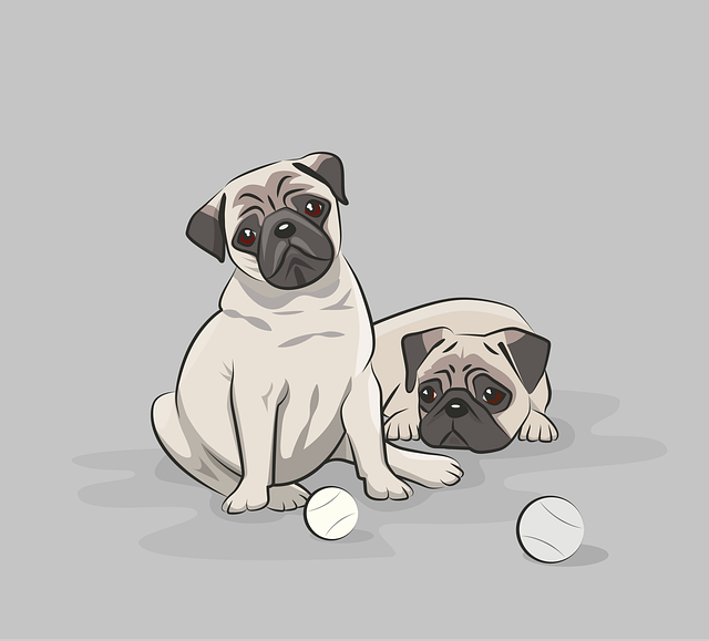 Pet Sitting