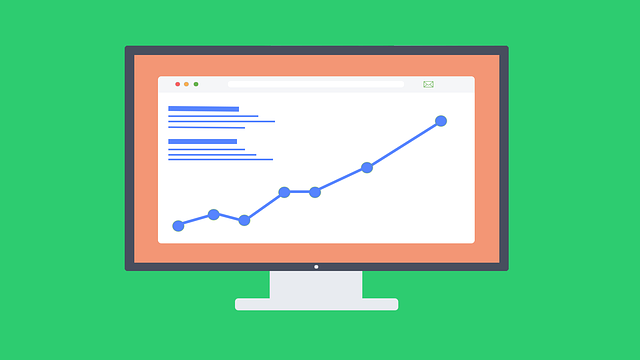 Port Cape Coral SEO agency helping Florida brands dominate