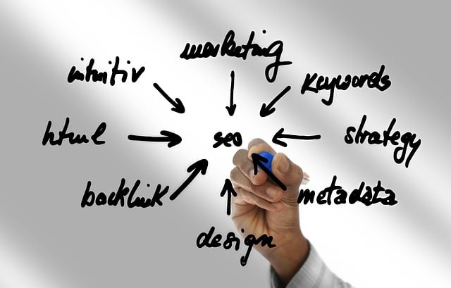Rank higher with proven Search Engine Port Fort Lauderdale SEO tactics