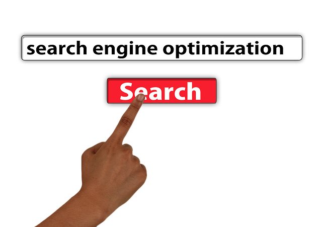 search-engine-optimization-hialeah-desig-640x480-86139761.png
