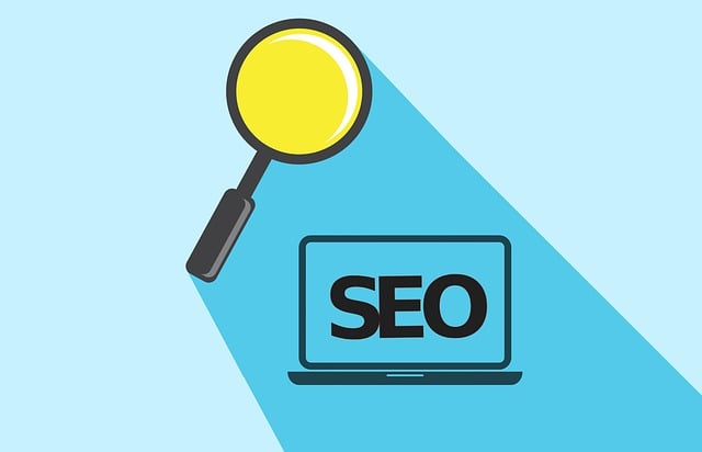 Search Engine Optimization Tampa services that drive real results
