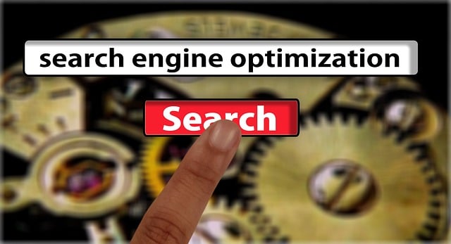 Search Engine Optimization Tampa services that drive real results