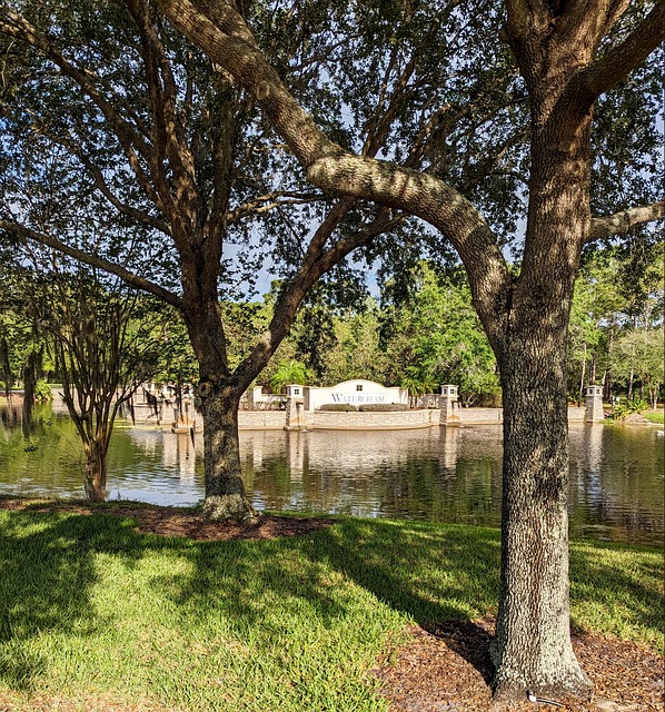 Tampa SEO agency helping Florida businesses grow