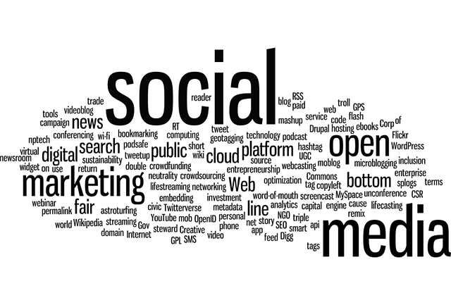 tampa-seo-agency-providing-expert-digita-640x480-2019690.png