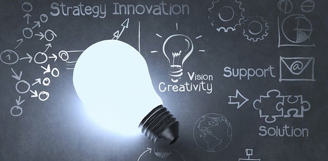 Tampa SEO agency providing expert digital solutions