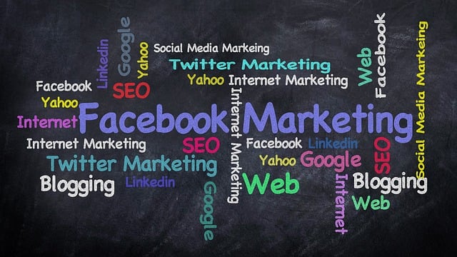 tampa-seo-agency-providing-expert-digita-640x480-72246712.jpeg