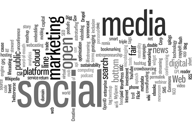 Tampa SEO agency providing expert digital solutions