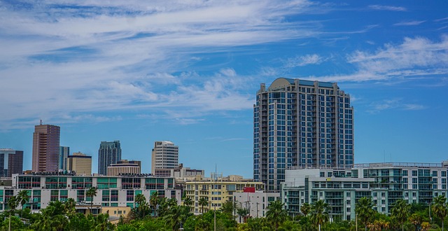 Tampa SEO agency specializing in local visibility