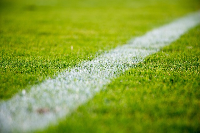 lawn-care-640x480-94784300.jpeg