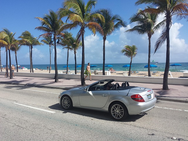 miami-seo-services-that-put-your-busines-640x480-80565169.jpeg