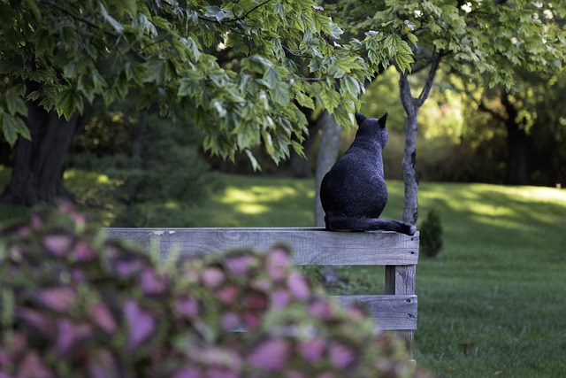 In-Home Dog Walking: Benefits and Effective Tips for Pet Sitting