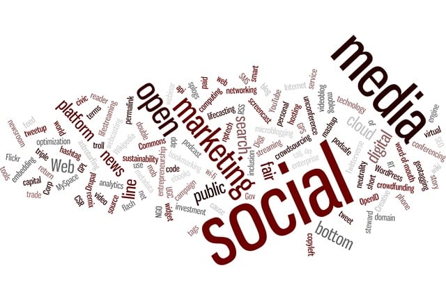 Search Engine Optimization Tampa services that drive real results
