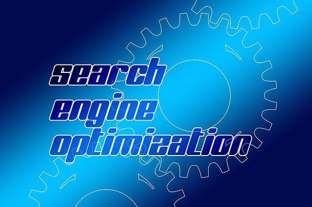 Search Engine Optimization Tampa services that drive real results