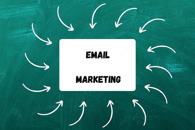 Tampa SEO agency providing expert digital solutions