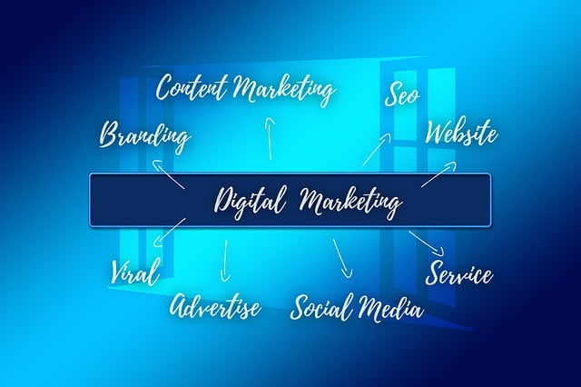 Tampa SEO agency providing expert digital solutions