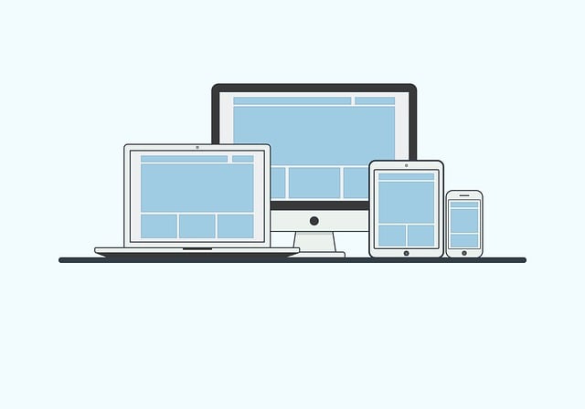 tampa-seo-agency-providing-expert-digita-640x480-4728952.jpeg